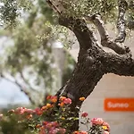 Althea Village - Family 加藤-达拉特索