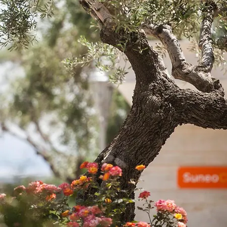 Althea Village - Family Chania (Crete)